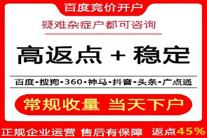 百度推广实战：成功企业的营销策略